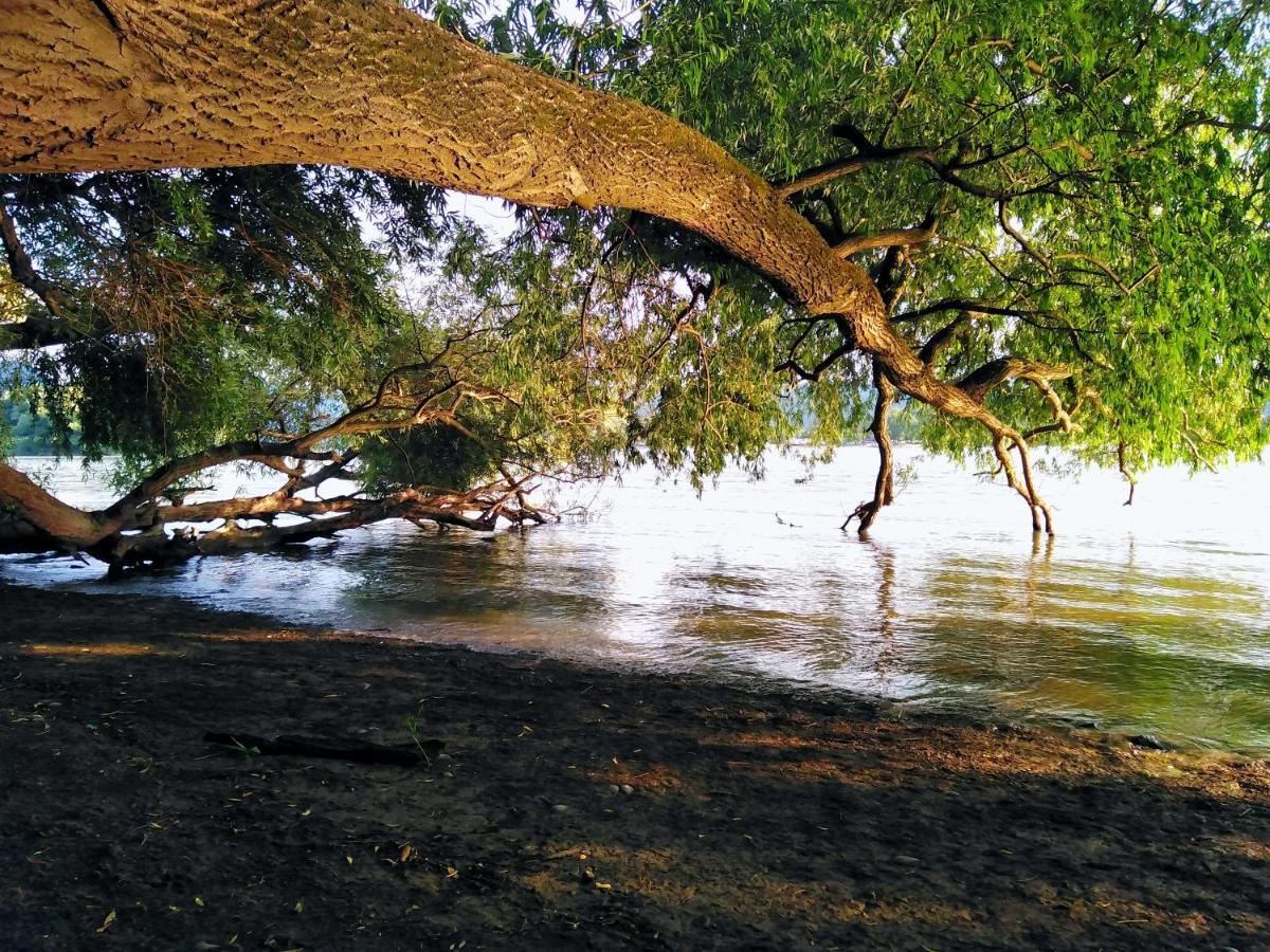 Fanima Vendeghaz Daire Verőcemaros Dış mekan fotoğraf