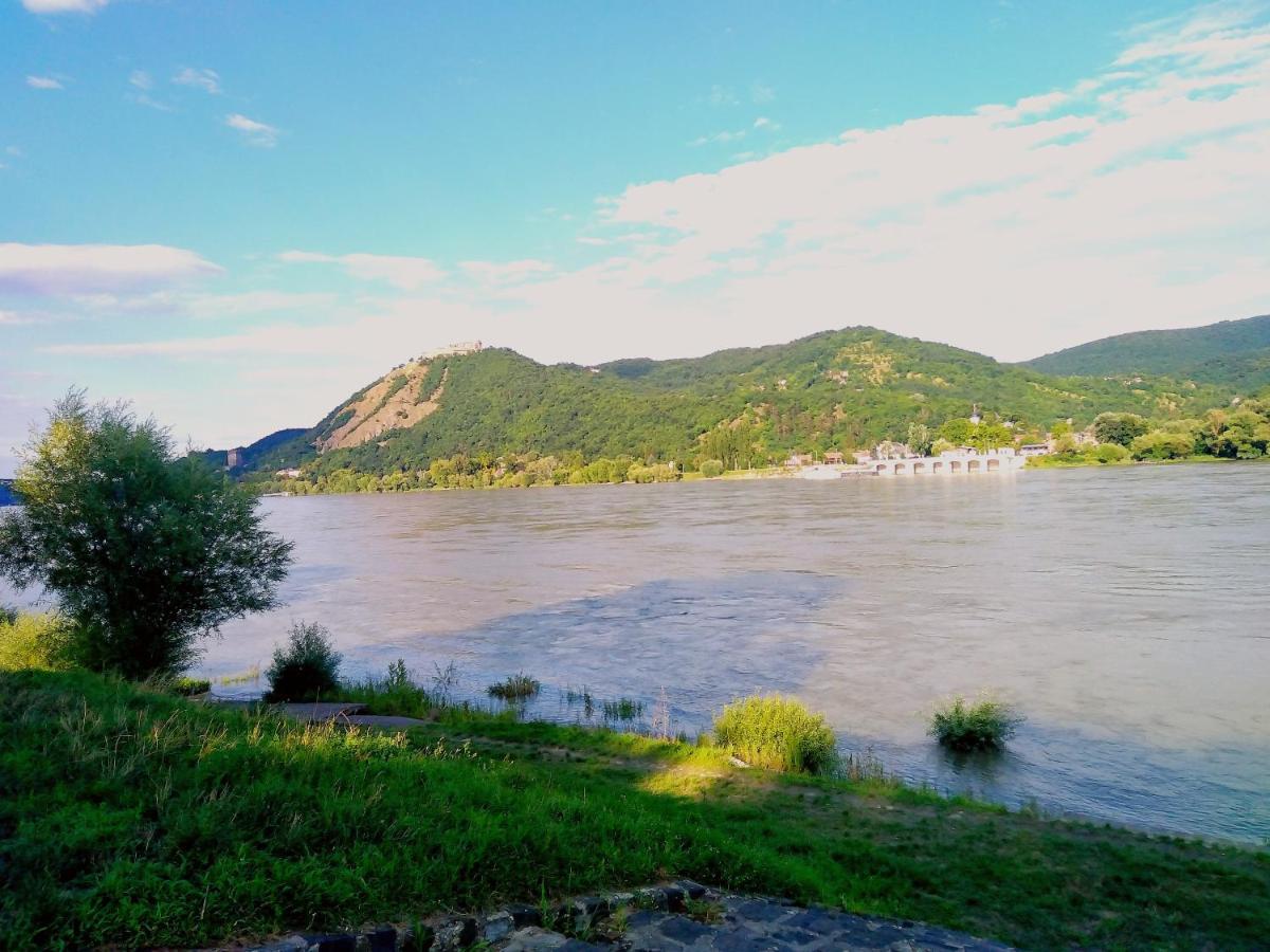 Fanima Vendeghaz Daire Verőcemaros Dış mekan fotoğraf